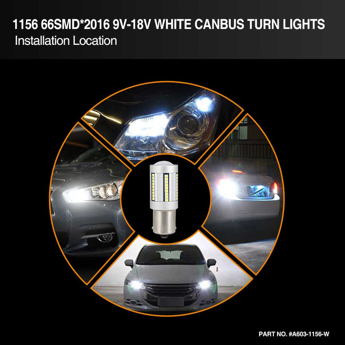 p21w led canbus turn light,py21w led canbus,ba15s led canbus,p21w canbus,led p21w canbus,ba15s canbus,ba15s p21w led canbus,p21w led bulb canbus,382 led bulb canbus,led canbus p21w,led ba15s canbus,p21w ba15s led canbus,ba15s canbus led,canbus p21w led,1156 led canbus,12v p21w led canbus,canbus p21w,canbus led p21w,1156 canbus,7506 led canbus,a603 p21w 1156 ba15s 7506 1141 66smd 2016 white canbus led manufacturer,exporter